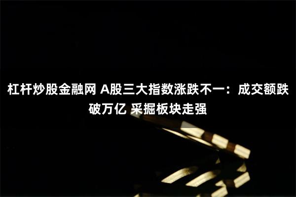 股票杠杆是什么 成交额不足万亿！尾盘资金抢筹寒武纪 今天A股